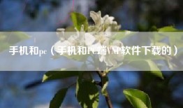 手机和pc（手机和PC端VNP软件下载的）