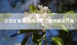 云挖矿系统-为每位矿工提供解决方案