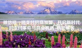 微信碰一碰支付招商加盟，开启新时代的支付革命与商业机遇_精密解答