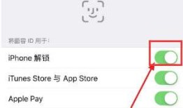 苹果13nfc功能怎么用 推荐iPhone13NFC功能开启方法