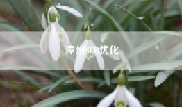 漳州SEO优化