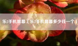 乐2手机屏幕（乐2手机屏幕多少钱一个）