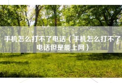 手机怎么打不了电话（手机怎么打不了电话但是能上网）
