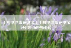 手机电池做充电宝（手机电池做充电宝还用拆保护板吗）