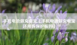 手机电池做充电宝（手机电池做充电宝还用拆保护板吗）