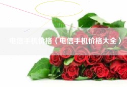电信手机价格（电信手机价格大全）