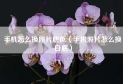 手机怎么换照片底色（手机照片怎么换白底）