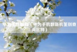 华为手机翻新（华为手机翻新机鉴别查询官网）