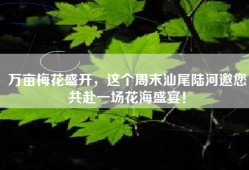 万亩梅花盛开，这个周末汕尾陆河邀您共赴一场花海盛宴！
