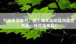 万亩梅花盛开，这个周末汕尾陆河邀您共赴一场花海盛宴！