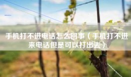 手机打不进电话怎么回事（手机打不进来电话但是可以打出去）