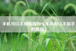 手机可以不用贴膜吗（手机可以不贴手机膜吗）