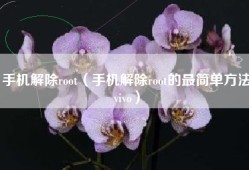 手机解除root（手机解除root的最简单方法vivo）