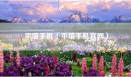 平壤手机（平壤手机官网）