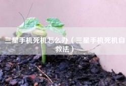 三星手机死机怎么办（三星手机死机自救法）
