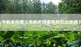 手机无线麦（手机无线麦克风怎么使用）