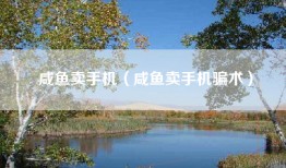 咸鱼卖手机（咸鱼卖手机骗术）