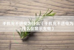 手机充不进电为什么（手机充不进电为什么在显示充电）