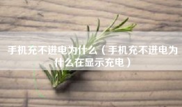 手机充不进电为什么（手机充不进电为什么在显示充电）