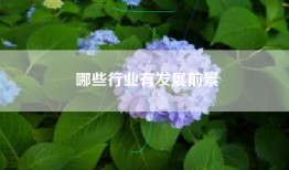 哪些行业有发展前景