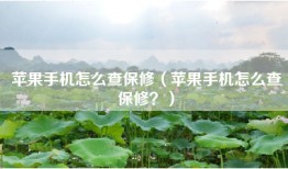苹果手机怎么查保修（苹果手机怎么查保修？）