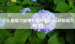 什么是磁力链接？如何用Python获取磁力种子？