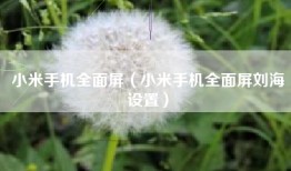 小米手机全面屏（小米手机全面屏刘海设置）