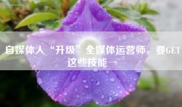 自媒体人“升级”全媒体运营师，要GET这些技能→