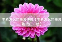 手机怎么和电视连接（手机怎么和电视连接在一起）