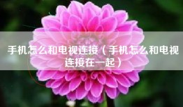 手机怎么和电视连接（手机怎么和电视连接在一起）