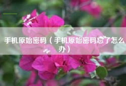 手机原始密码（手机原始密码忘了怎么办）
