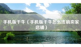 手机版千牛（手机版千牛怎么注销卖家店铺）