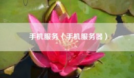 手机服务（手机服务器）