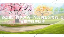 百度推广费多少钱一个月啊怎么算的_百度推广收费标准