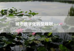 城市数字化转型规划.pptx