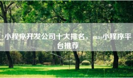 小程序开发公司十大排名，saas小程序平台推荐