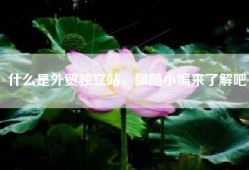 什么是外贸独立站，跟随小编来了解吧
