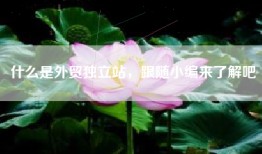 什么是外贸独立站，跟随小编来了解吧