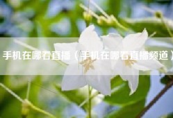手机在哪看直播（手机在哪看直播频道）