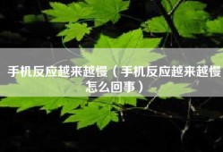 手机反应越来越慢（手机反应越来越慢怎么回事）
