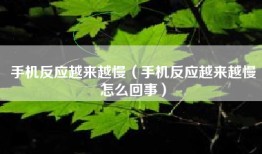 手机反应越来越慢（手机反应越来越慢怎么回事）
