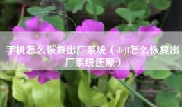 手机怎么恢复出厂系统（dell怎么恢复出厂系统还原）