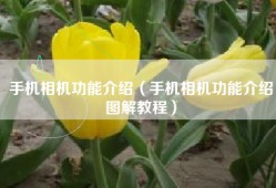手机相机功能介绍（手机相机功能介绍图解教程）