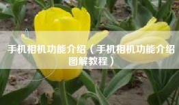 手机相机功能介绍（手机相机功能介绍图解教程）