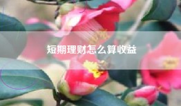 短期理财怎么算收益