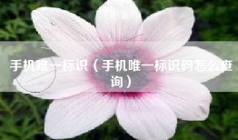 手机唯一标识（手机唯一标识码怎么查询）