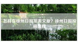 怎样在徐州日报发表文章？徐州日报投稿流程