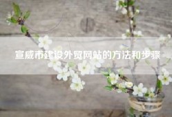 宣威市建设外贸网站的方法和步骤