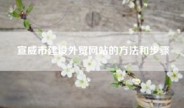 宣威市建设外贸网站的方法和步骤