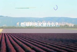 悉知的含义是什么？